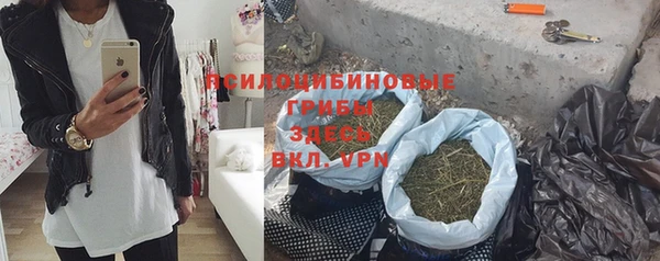 spice Алексин